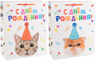 Пакет подарочный, 210гр, Котик в колпачке, Лаковый, 32*26*12 см, 1 шт.