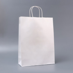 Пакет белый без печати, круглая ручка, 31×12×42 см, 120 г