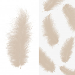 Перья, Премиум, Шампань, 12-15 см, 30 шт.