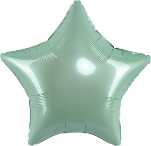 Логотип «Шар (18''/46 см) Звезда, Мятный, Макарунс, 1 шт.»