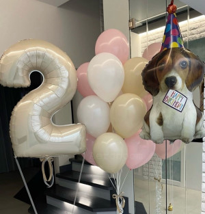 Логотип «Набор шаров №18»