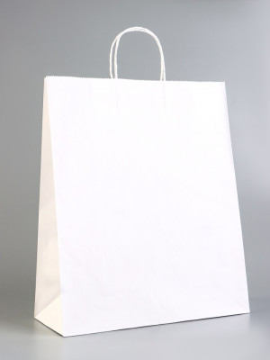 Логотип «Пакет крафт без печати 35×15×42 см белый»