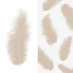 Логотип «Перья, Премиум, Шампань, 12-15 см, 30 шт.»