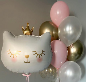 Логотип «Набор Котенок Принцесса»