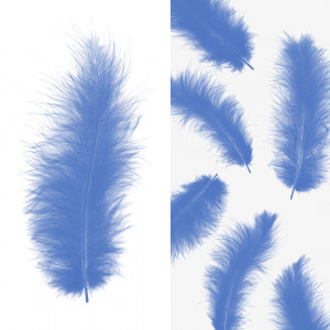 Логотип «Перья, Премиум, Небесно-голубой, 12-15 см, 30 шт.»