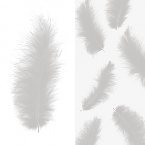 Логотип «Перья, Премиум, Серебро, 12-15 см, 30 шт.»