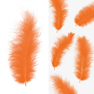 Логотип «Перья, Премиум, Оранжевый, 12-15 см, 30 шт.»