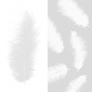Логотип «Перья, Премиум, Белый, 12-15 см, 30 шт.»